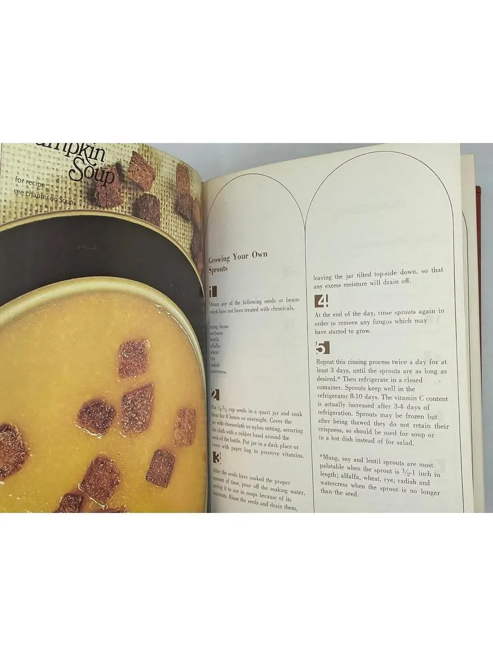 Vintage Rodale Cookbook: 1973 Nutritional Recipes, Illustrated